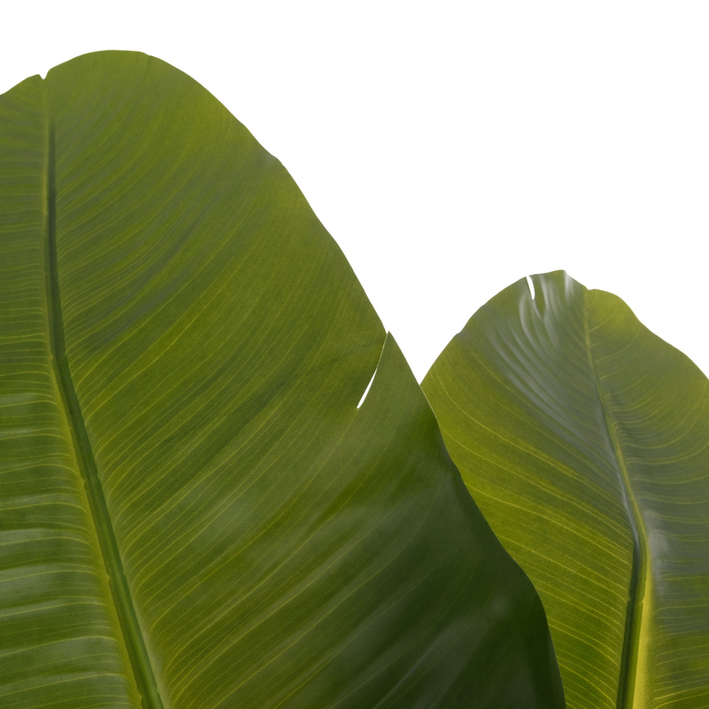 DECORATIVE SYNTHETIC PLANT IN POT HM4739 STRELITZIA Φ18x172Hcm.