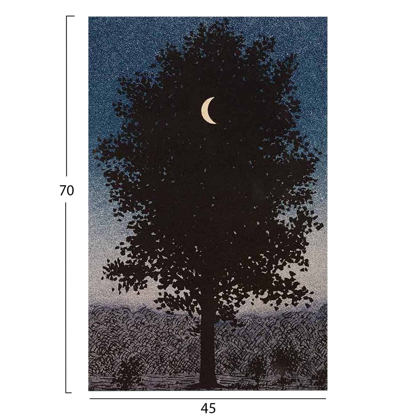 WALL PAINTING SERIES GOBI HM4850 PRINTED CANVAS 45x3(thickness)x70Hcm.