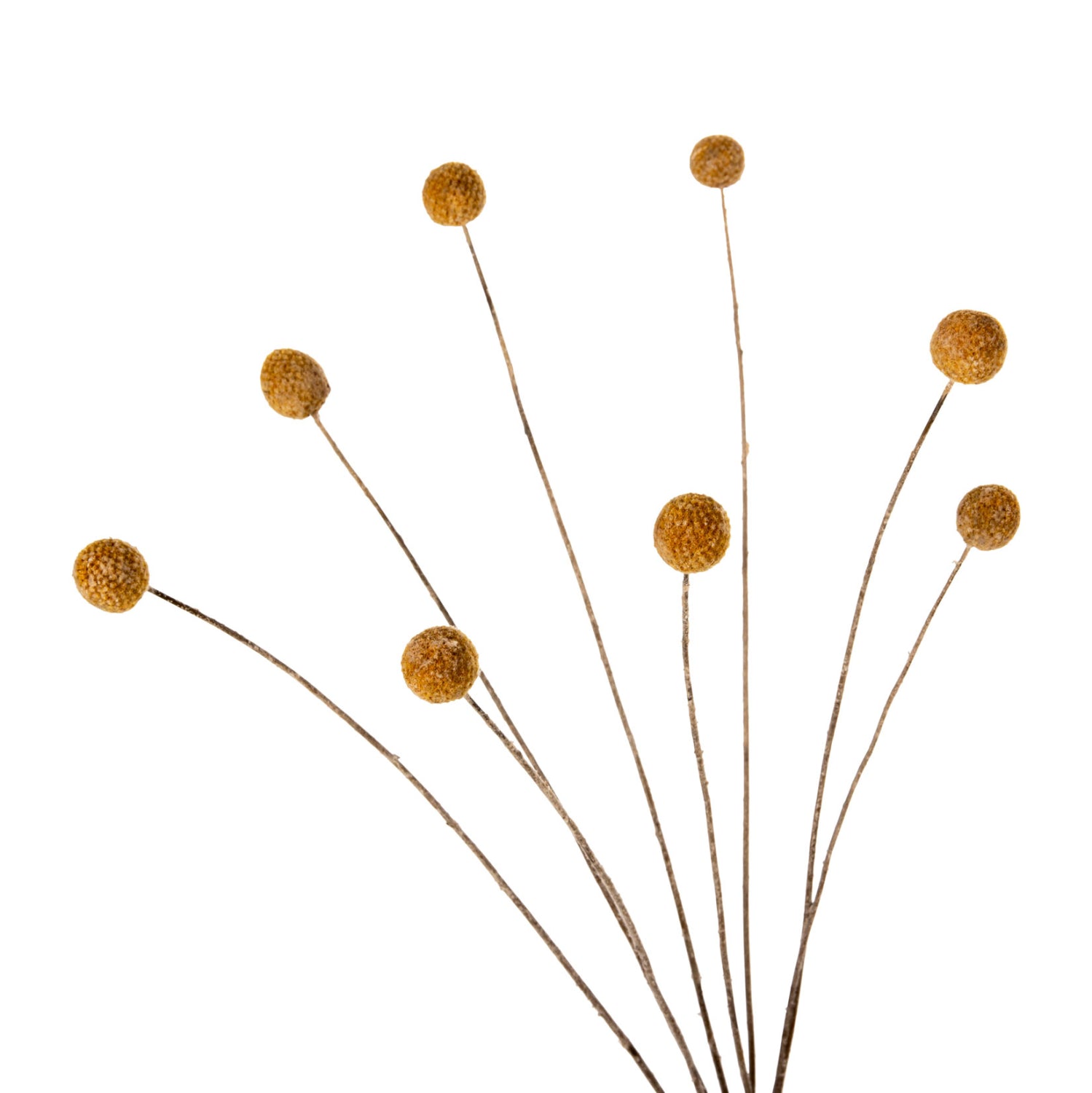 DECORATIVE DRIED BOUQUET CRASPEDIA GLOBOSA HM7956 YELLOW 63Hcm.