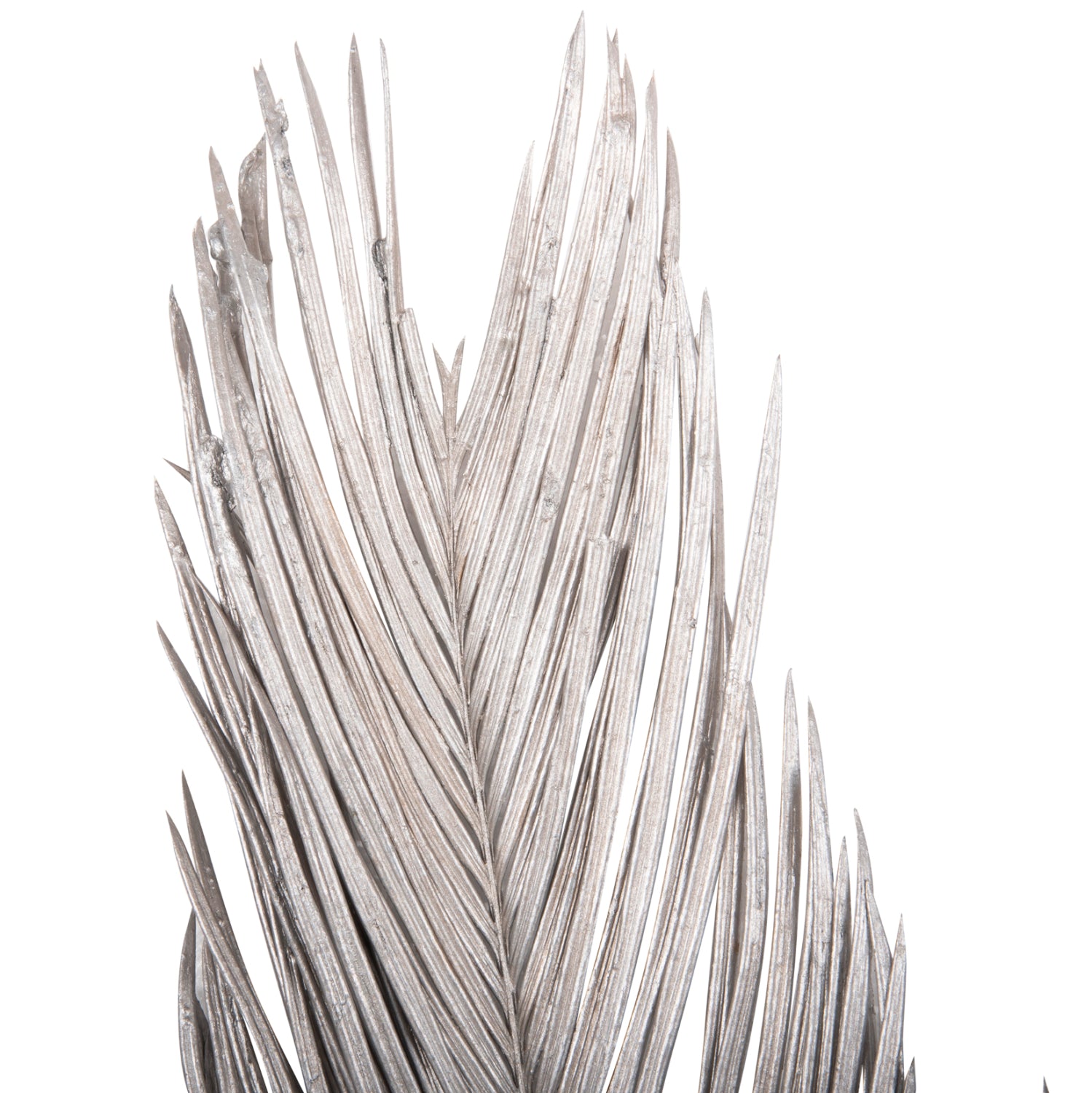DECORATIVE DRIED 3-LEAF SET OF PALM TREE ΗΜ7957 SILVER 1120Hcm.