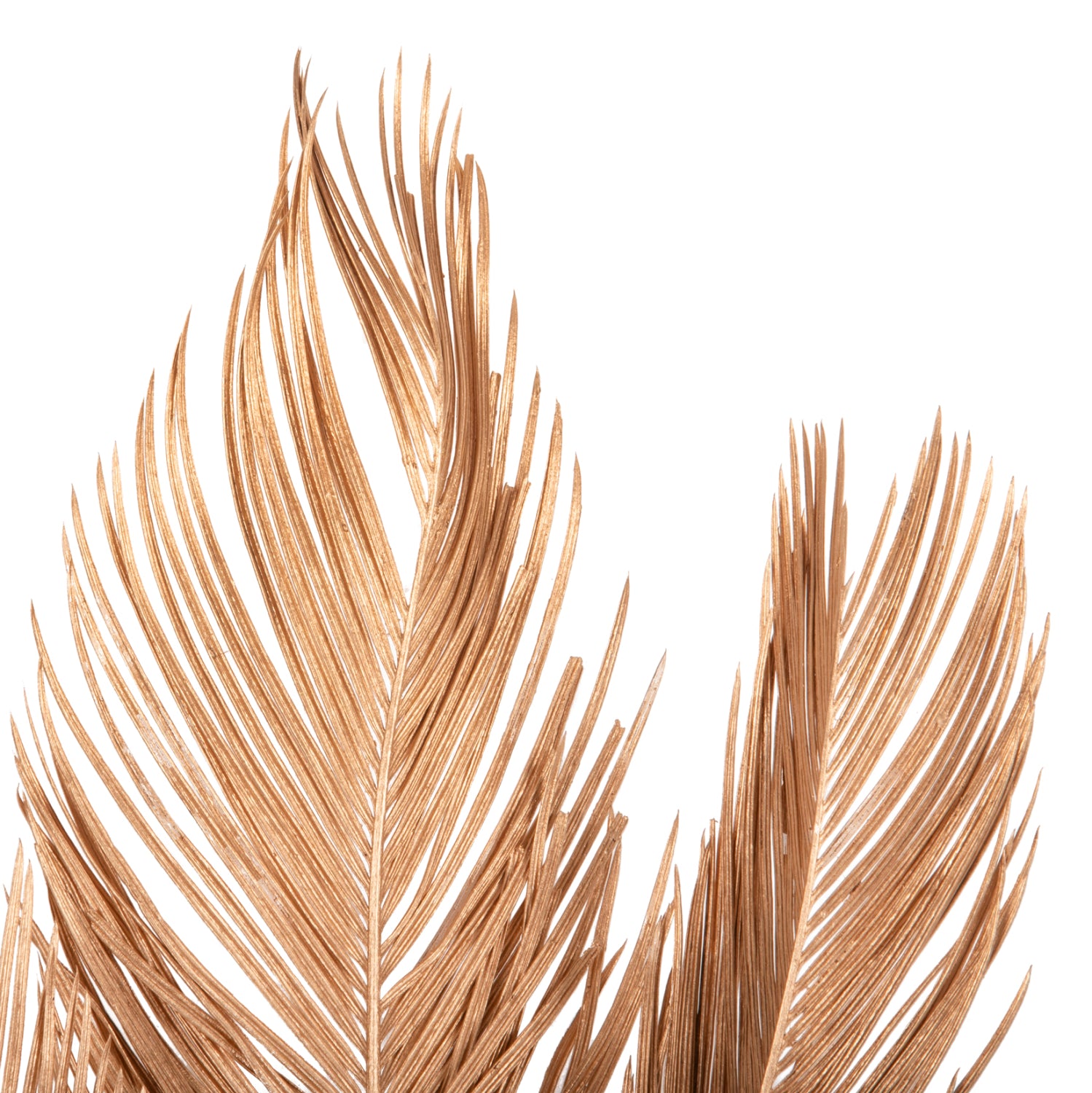 DECORATIVE DRIED 3-LEAF SET OF PALM TREE HM7958 GOLD 110Hcm.