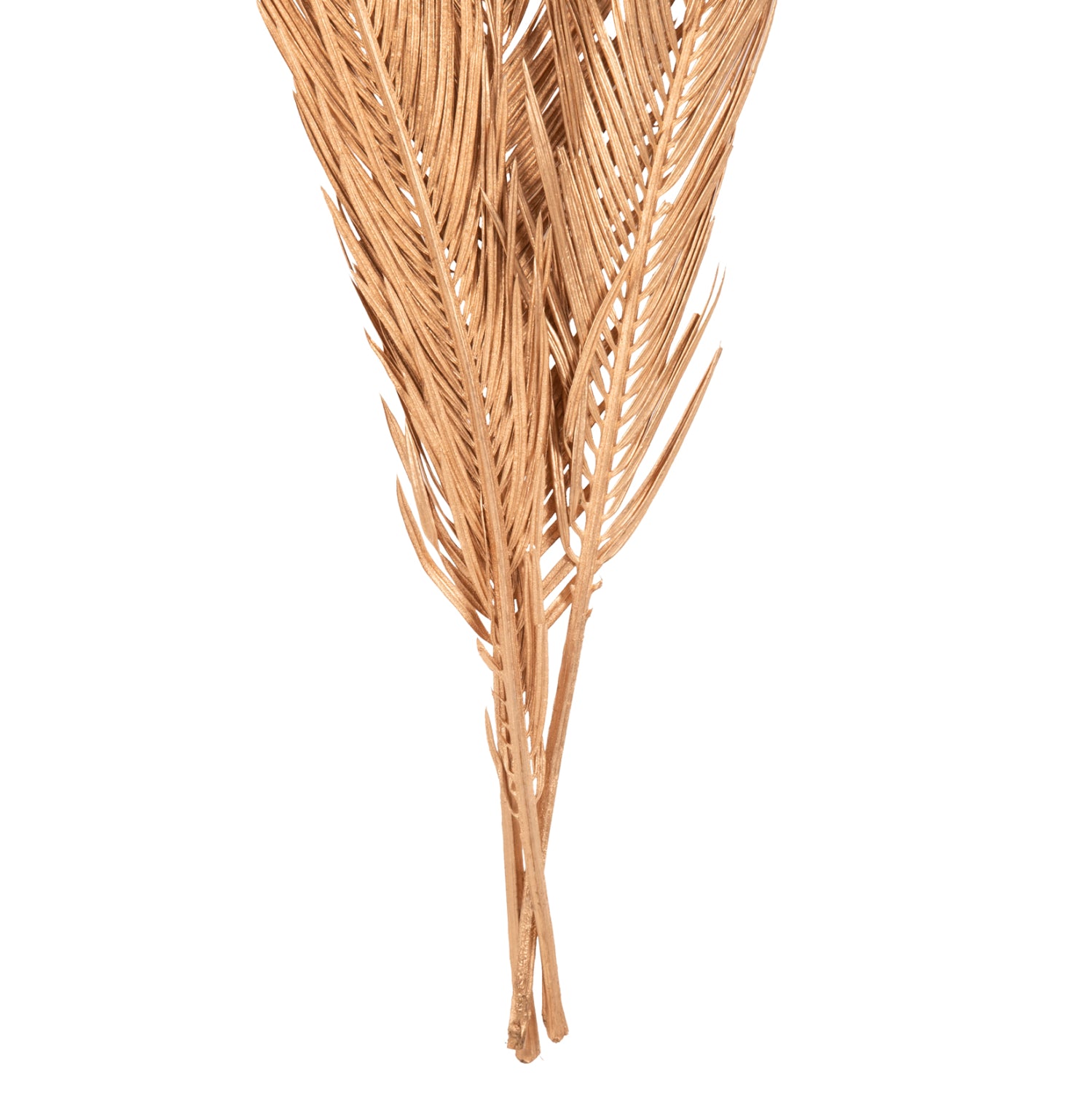 DECORATIVE DRIED 3-LEAF SET OF PALM TREE HM7958 GOLD 110Hcm.