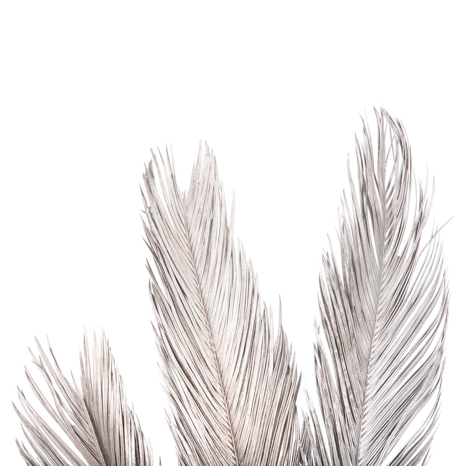 DECORATIVE DRIED 3-LEAF SET OF PALM TREE ΗΜ7957 SILVER 1120Hcm.