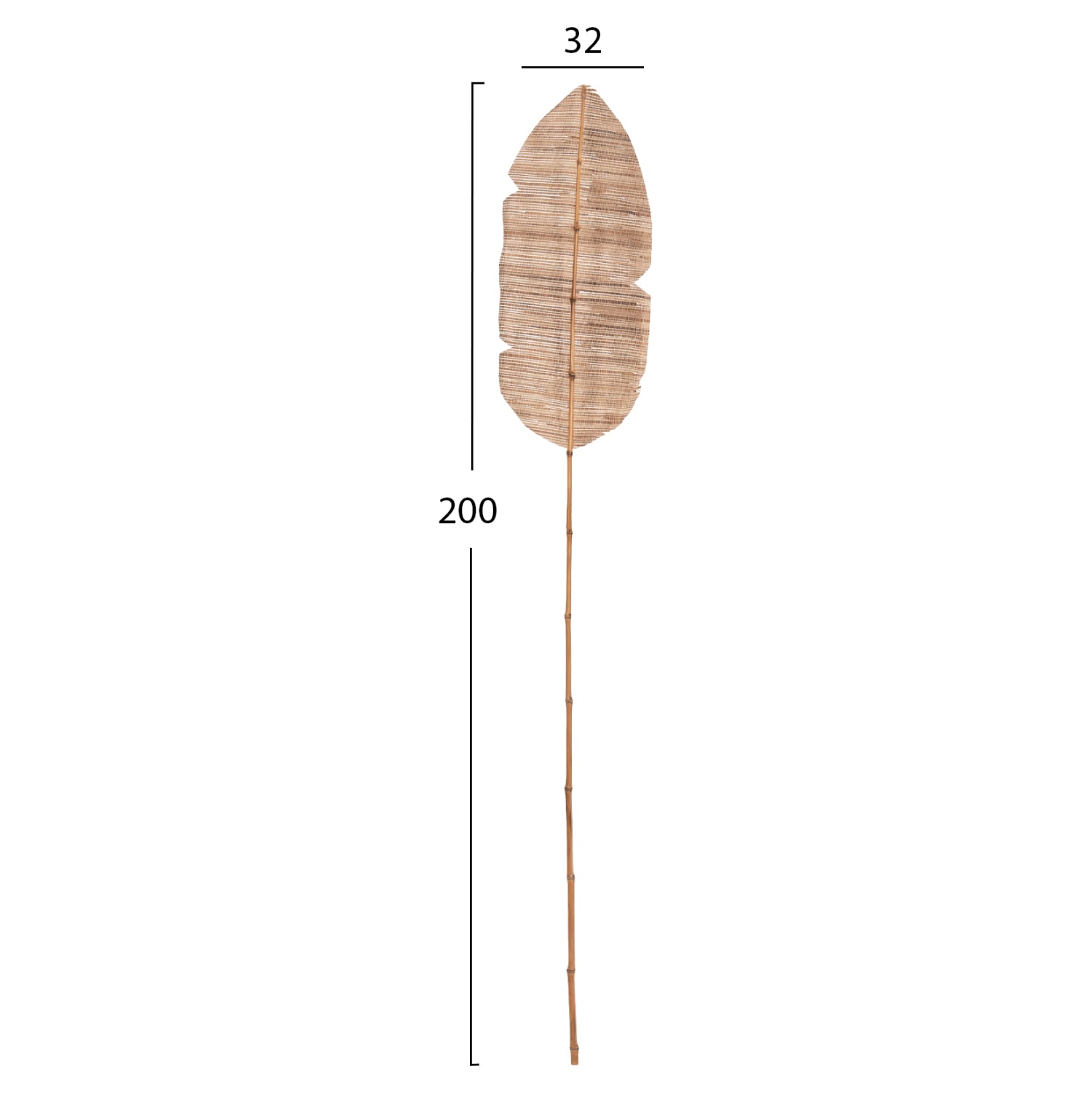 DECORATIVE LEAF ΗΜ7873 WATER HYACINTH IN NATURAL COLORING 32x200x3 cm.