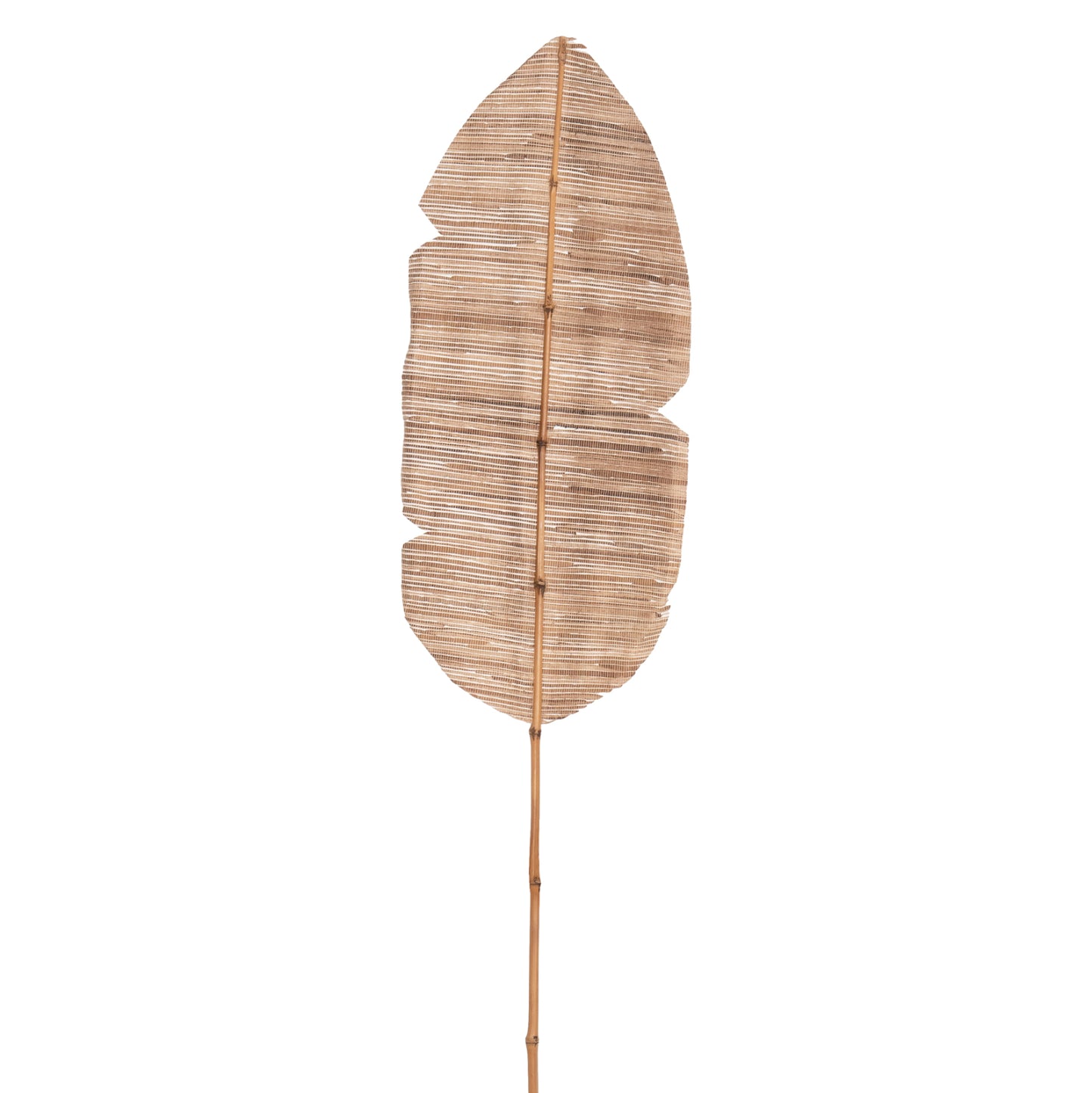 DECORATIVE LEAF ΗΜ7873 WATER HYACINTH IN NATURAL COLORING 32x200x3 cm.