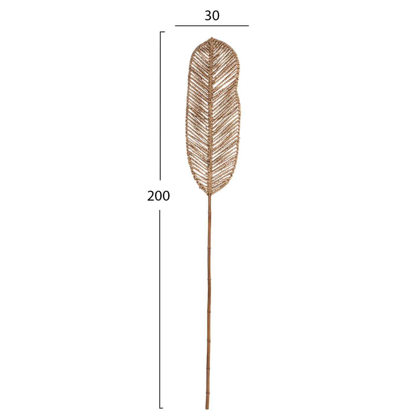 DECORATIVE LEAF HM7823.01 MADE OF BAMBOO AND SEAGRASS NATURAL  78Χ30x200Hcm.