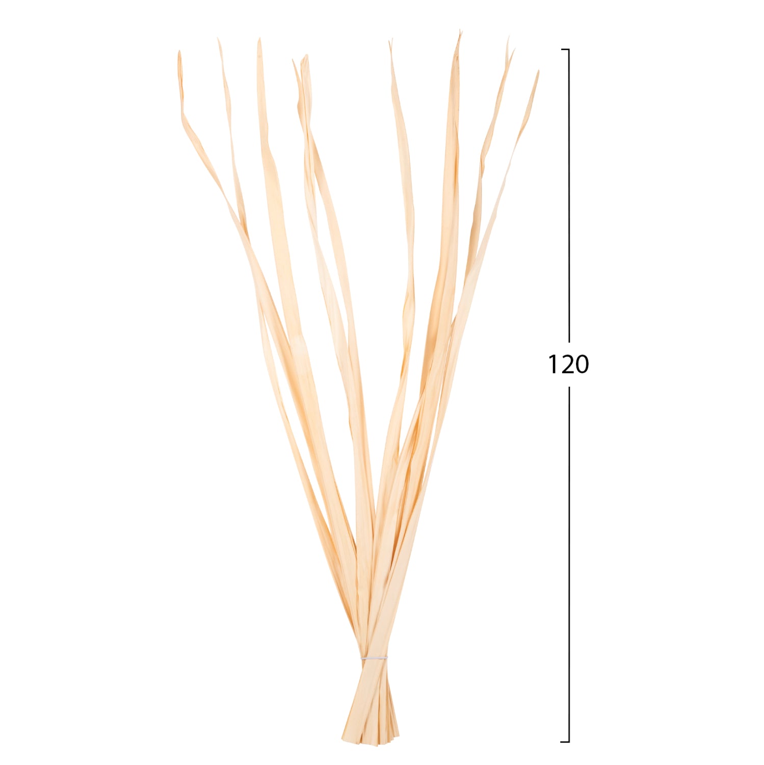 DECORATIVE DRIED SWORD LEAF BOUQUET HM7964 10PCS NATURAL 120Hcm.