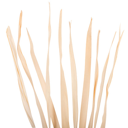 DECORATIVE DRIED SWORD LEAF BOUQUET HM7964 10PCS NATURAL 120Hcm.