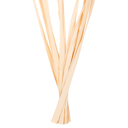 DECORATIVE DRIED SWORD LEAF BOUQUET HM7964 10PCS NATURAL 120Hcm.