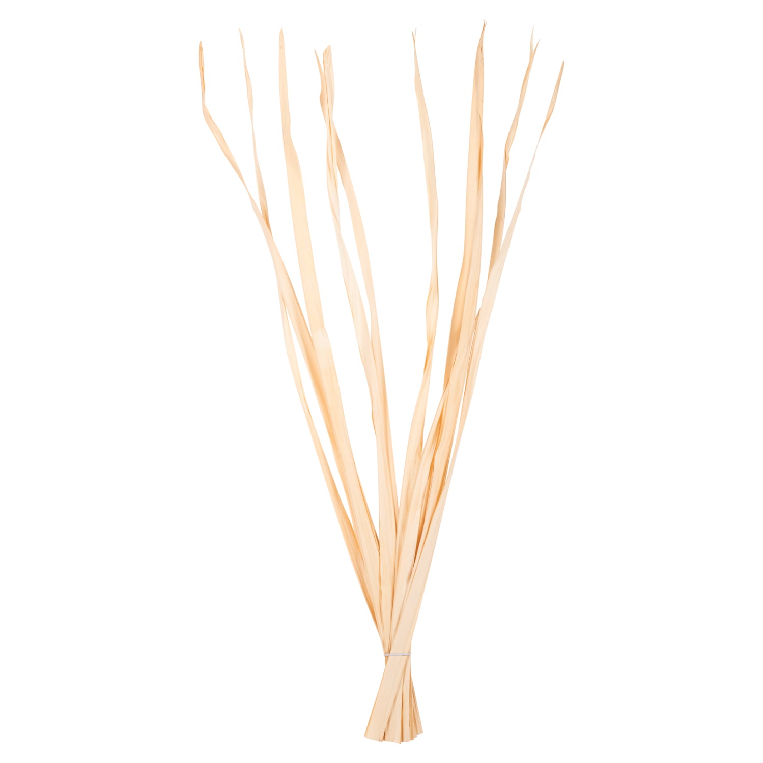 DECORATIVE DRIED SWORD LEAF BOUQUET HM7964 10PCS NATURAL 120Hcm.