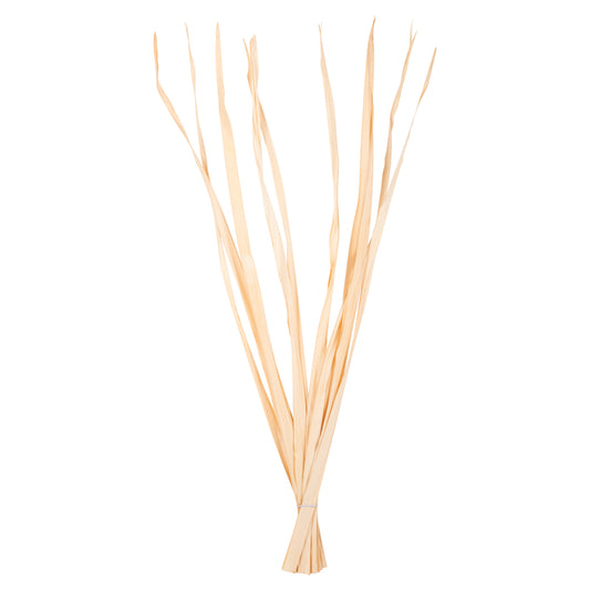 DECORATIVE DRIED SWORD LEAF BOUQUET HM7964 10PCS NATURAL 120Hcm.