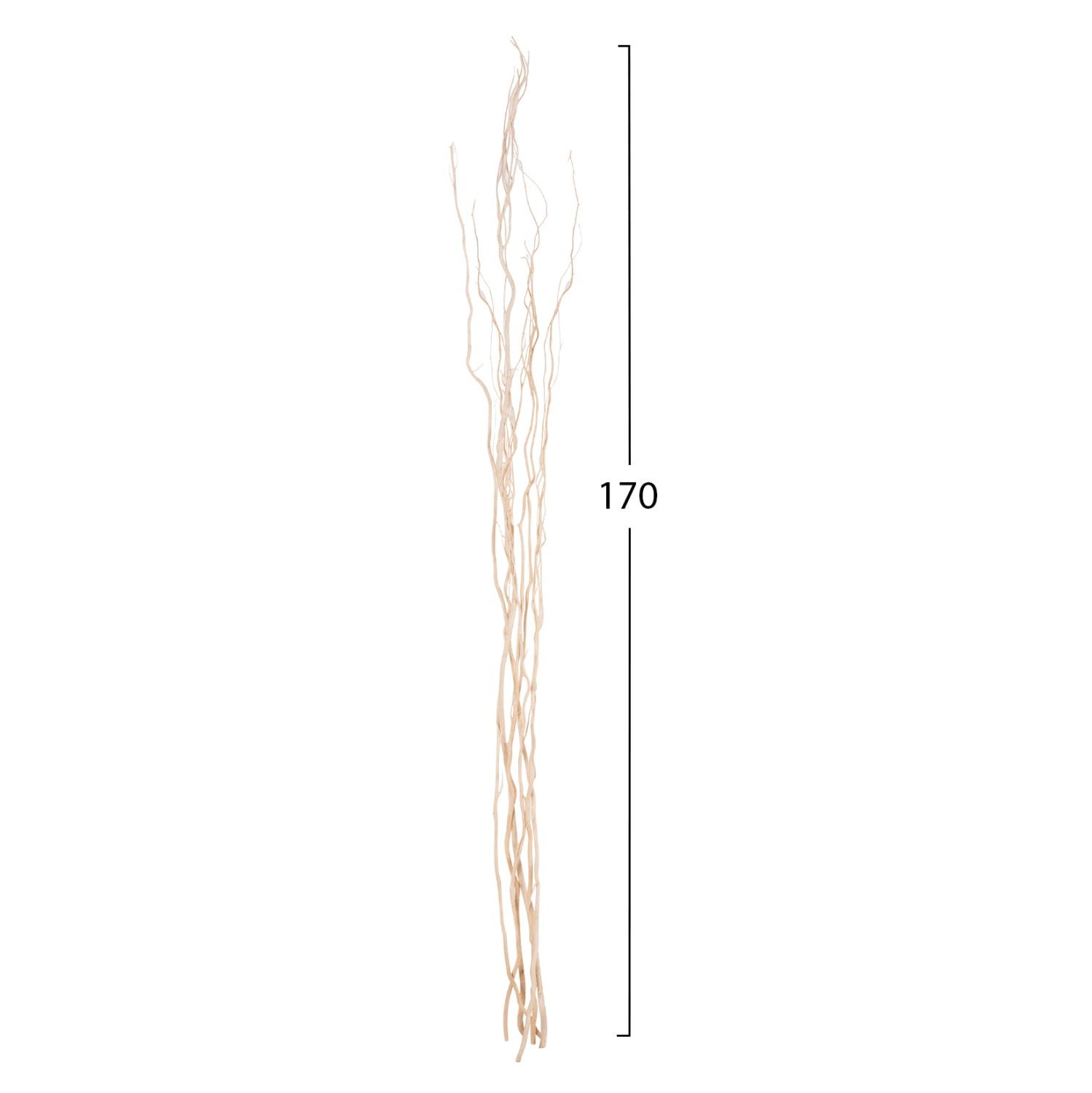 DECORATIVE BOUQUET 5PCS DRIED WILLOW BRANCHES HM7966 CREAM 170Hcm.