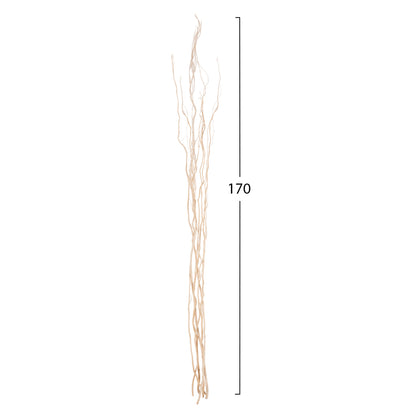 DECORATIVE BOUQUET 5PCS DRIED WILLOW BRANCHES HM7966 CREAM 170Hcm.