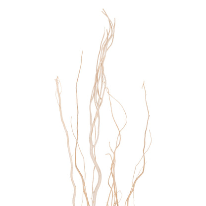 DECORATIVE BOUQUET 5PCS DRIED WILLOW BRANCHES HM7966 CREAM 170Hcm.