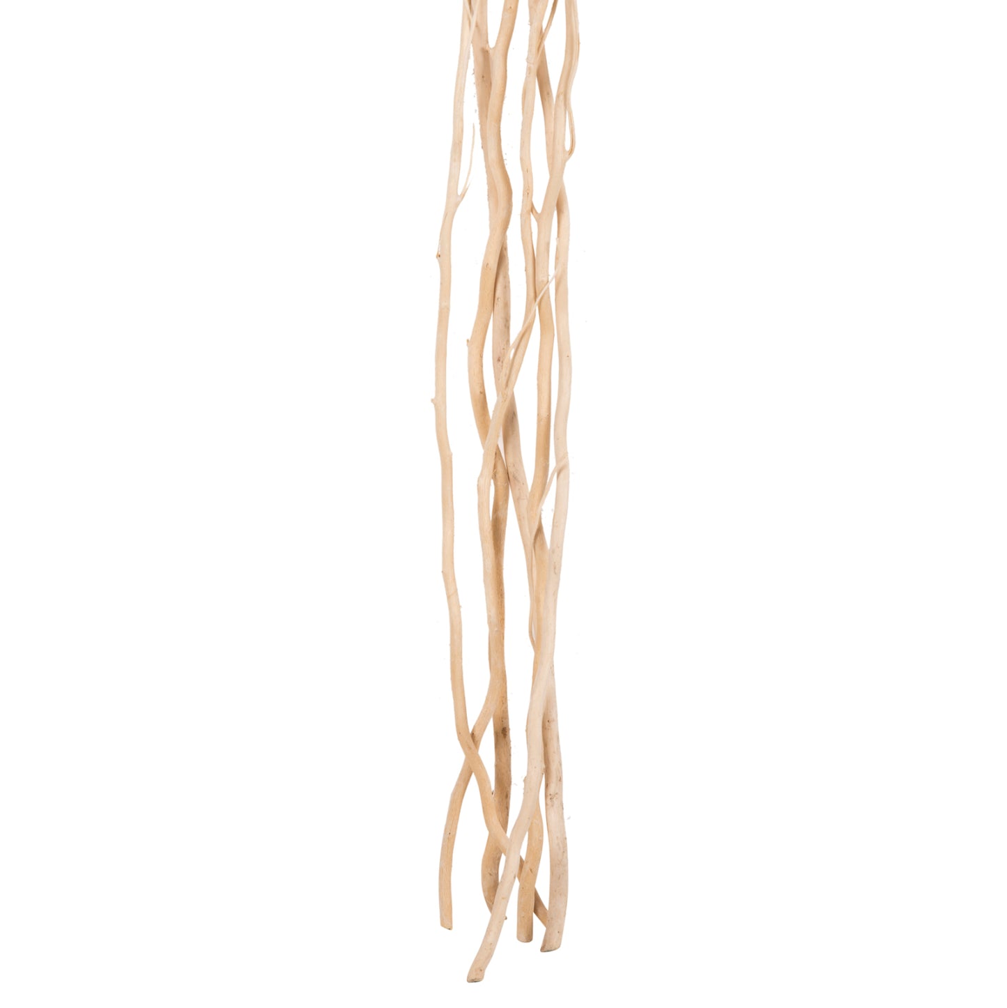 DECORATIVE BOUQUET 5PCS DRIED WILLOW BRANCHES HM7966 CREAM 170Hcm.