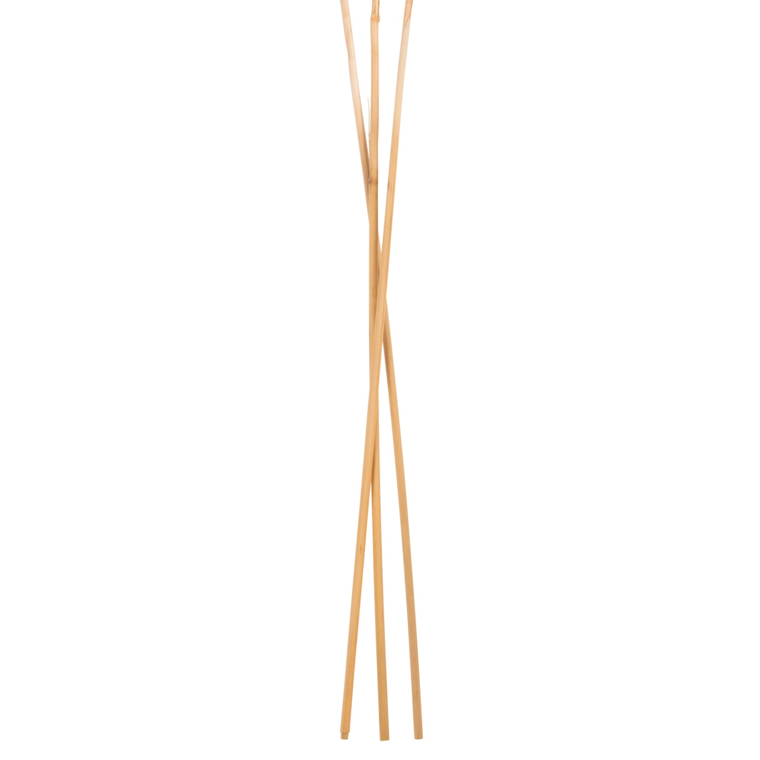 DECORATIVE DRIED REED 3PCS HM7961 WHITE 140Hcm.