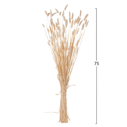 DECORATIVE DRIED BOUQUEΤ RABBIT TAIL HM7959 CREAM 76Hcm.