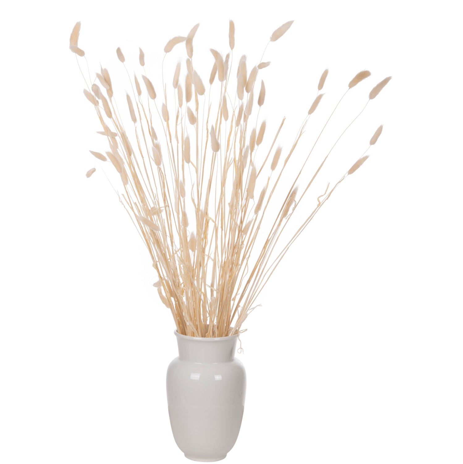DECORATIVE DRIED BOUQUEΤ RABBIT TAIL HM7959 CREAM 76Hcm.