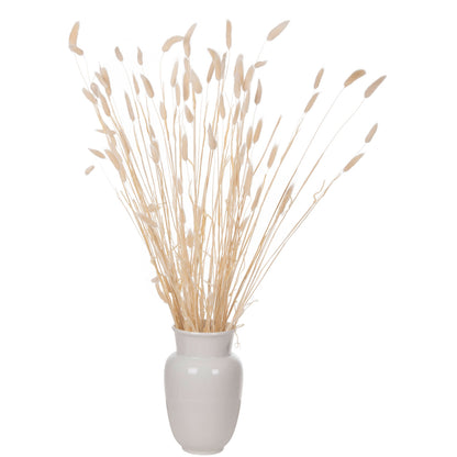 DECORATIVE DRIED BOUQUEΤ RABBIT TAIL HM7959 CREAM 76Hcm.