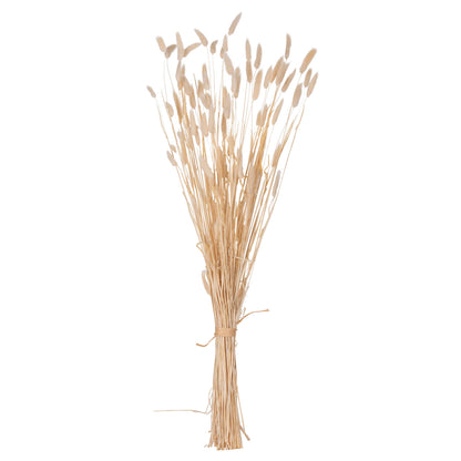 DECORATIVE DRIED BOUQUEΤ RABBIT TAIL HM7959 CREAM 76Hcm.