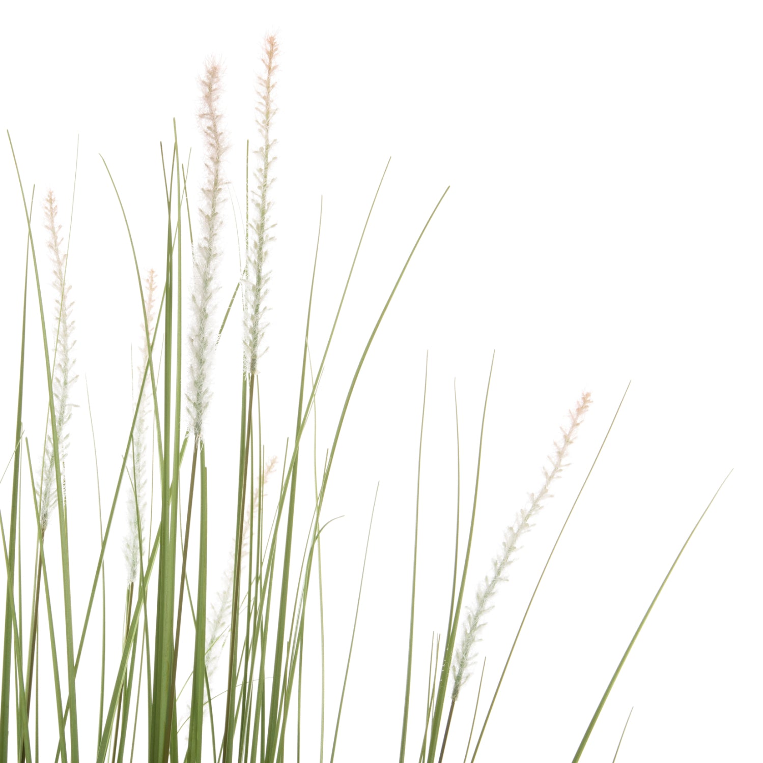 DECORATIVE SYNTHETIC PLANT IN POT HM4017 BRISTLEGRASS 173Hcm.