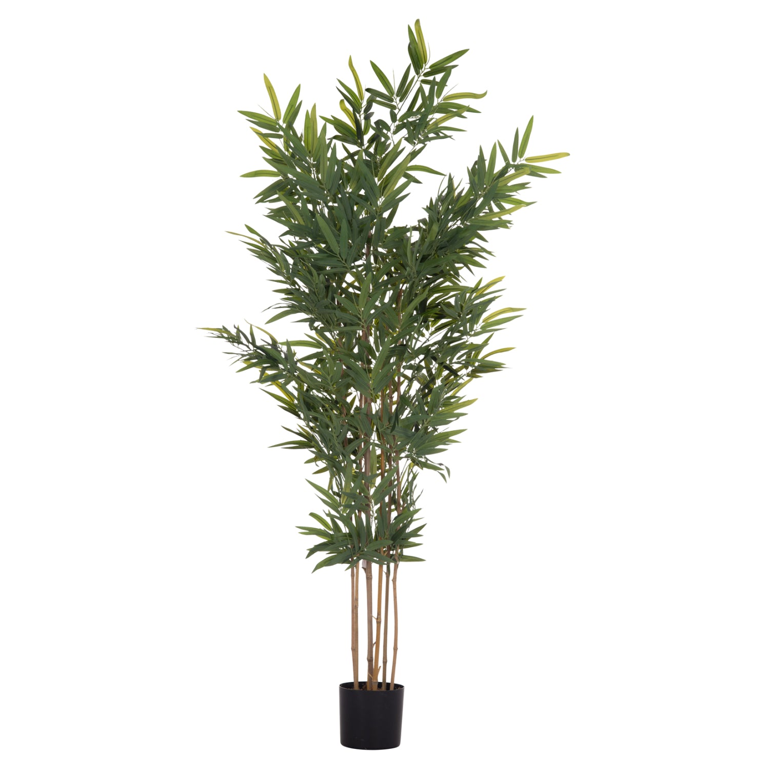 DECORATIVE SYNTHETIC PLANT IN POT HM4736 BAMBOO 20x95x180Hcm.