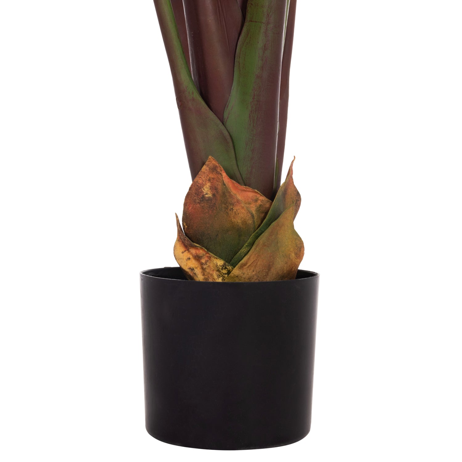 DECORATIVE SYNTHETIC PLANT IN POT HM4740 JAPANESE BANANA 85x75x225Hcm.