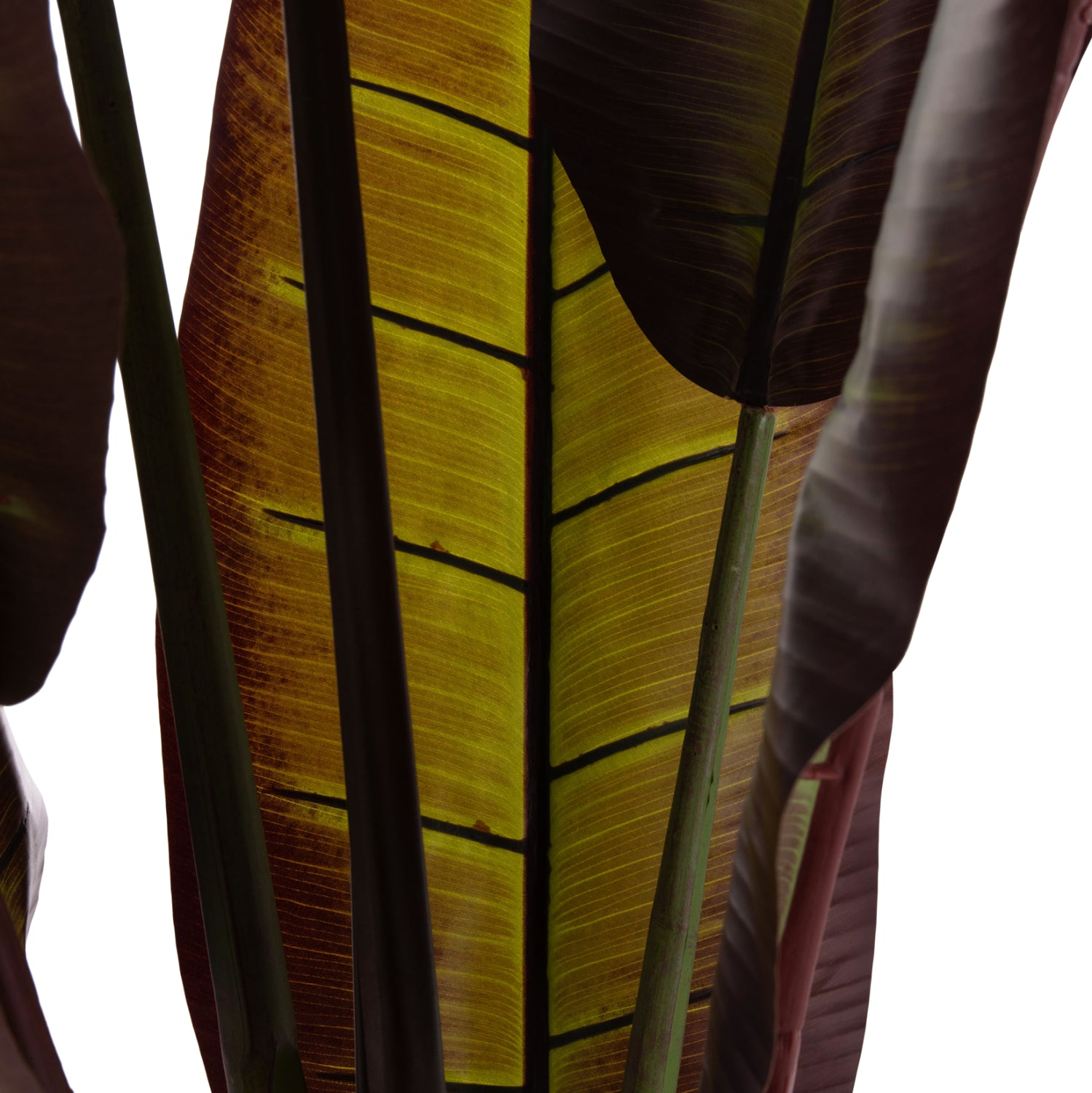DECORATIVE SYNTHETIC PLANT IN POT HM4740 JAPANESE BANANA 85x75x225Hcm.