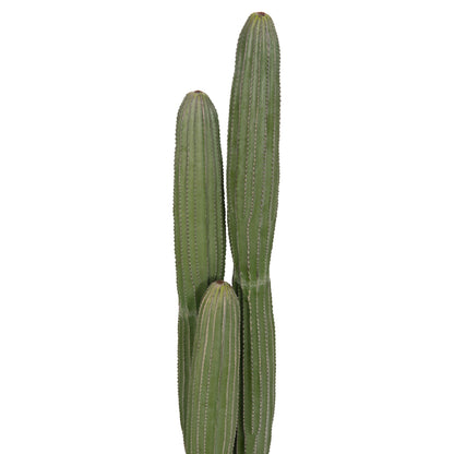 DECORATIVE SYNTHETIC PLANT IN POT HM4744 CACTUS Φ17.5x105Hcm.