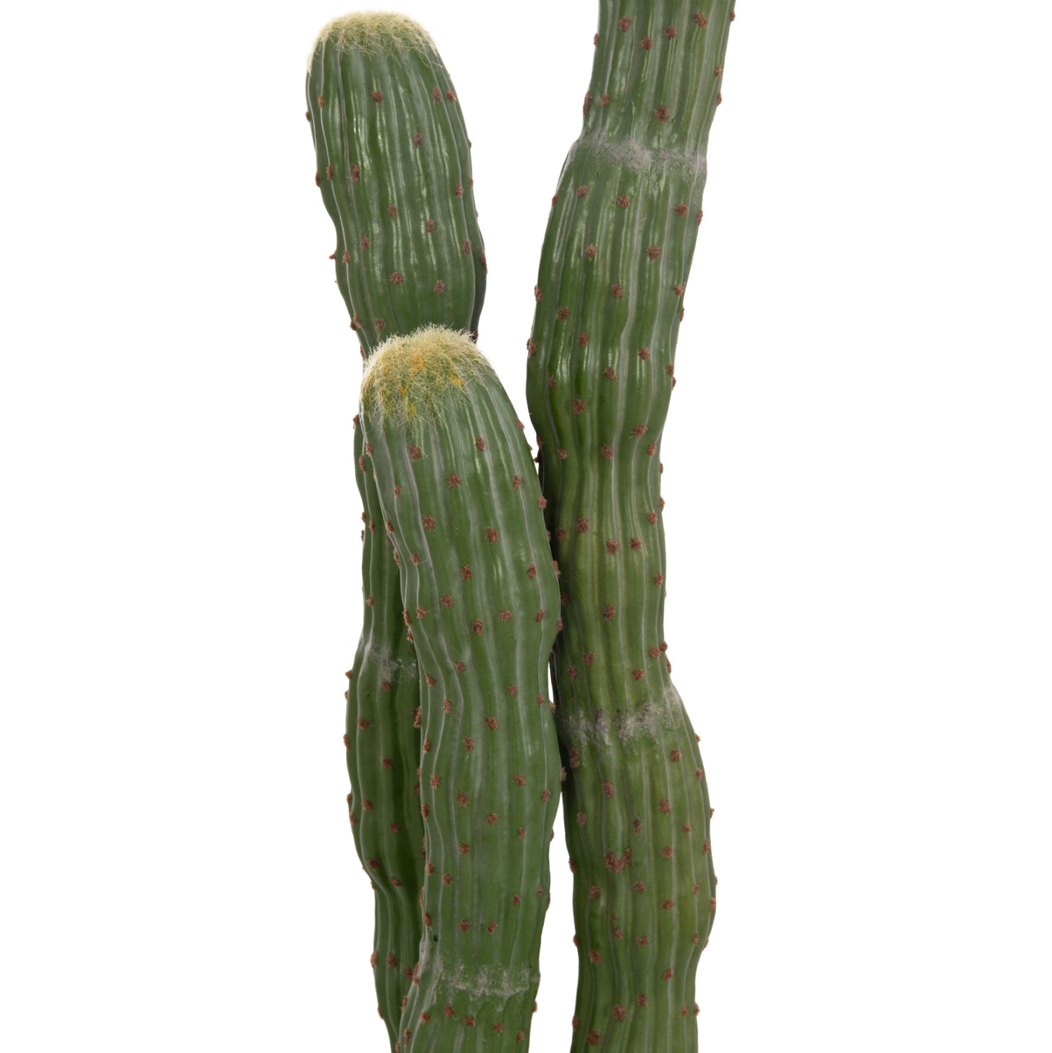 DECORATIVE SYNTHETIC PLANT IN POT HM4747 CACTUS Φ17.5x115Hcm.