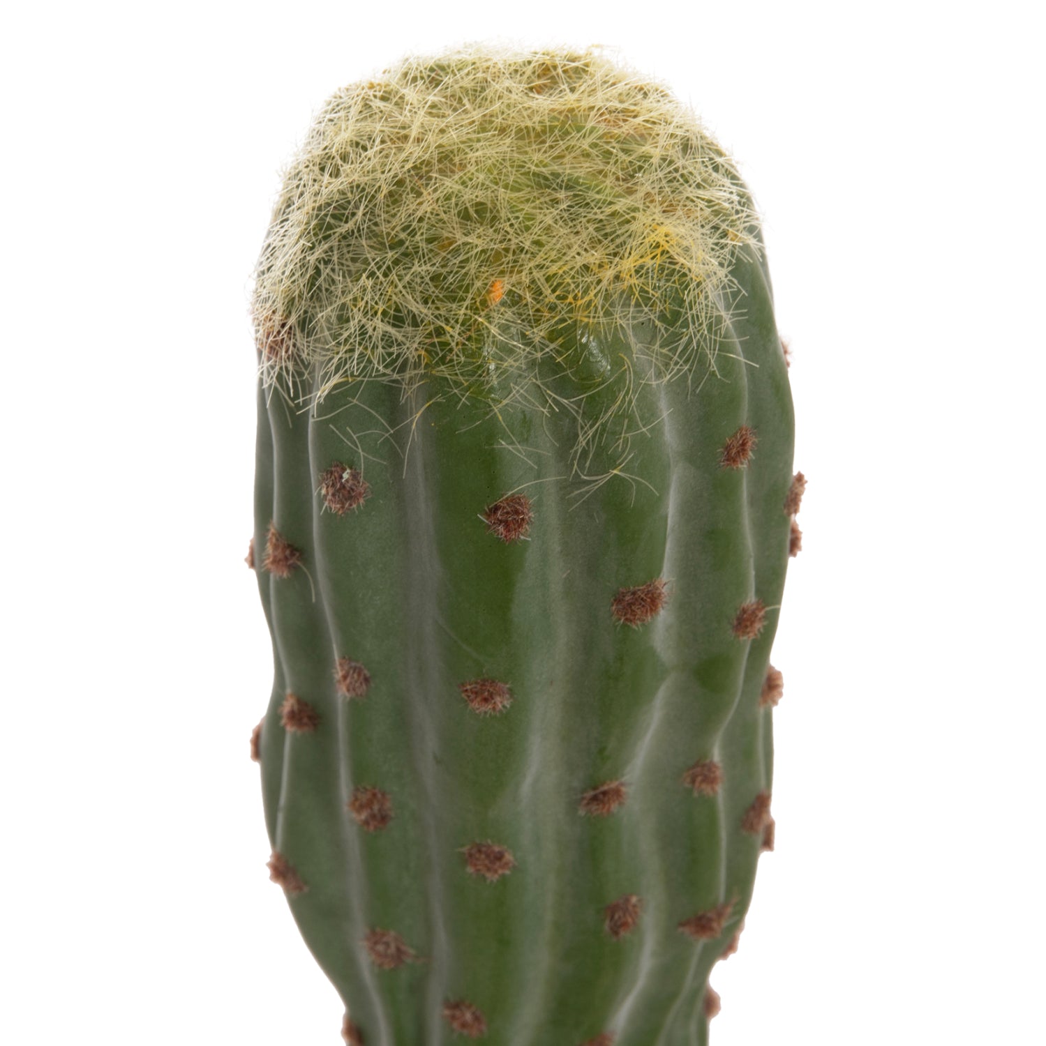 DECORATIVE SYNTHETIC PLANT IN POT HM4747 CACTUS Φ17.5x115Hcm.