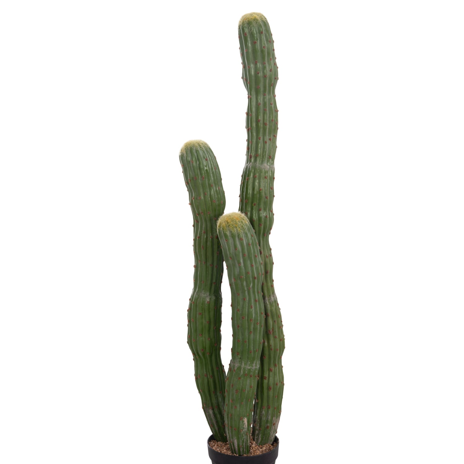 DECORATIVE SYNTHETIC PLANT IN POT HM4747 CACTUS Φ17.5x115Hcm.