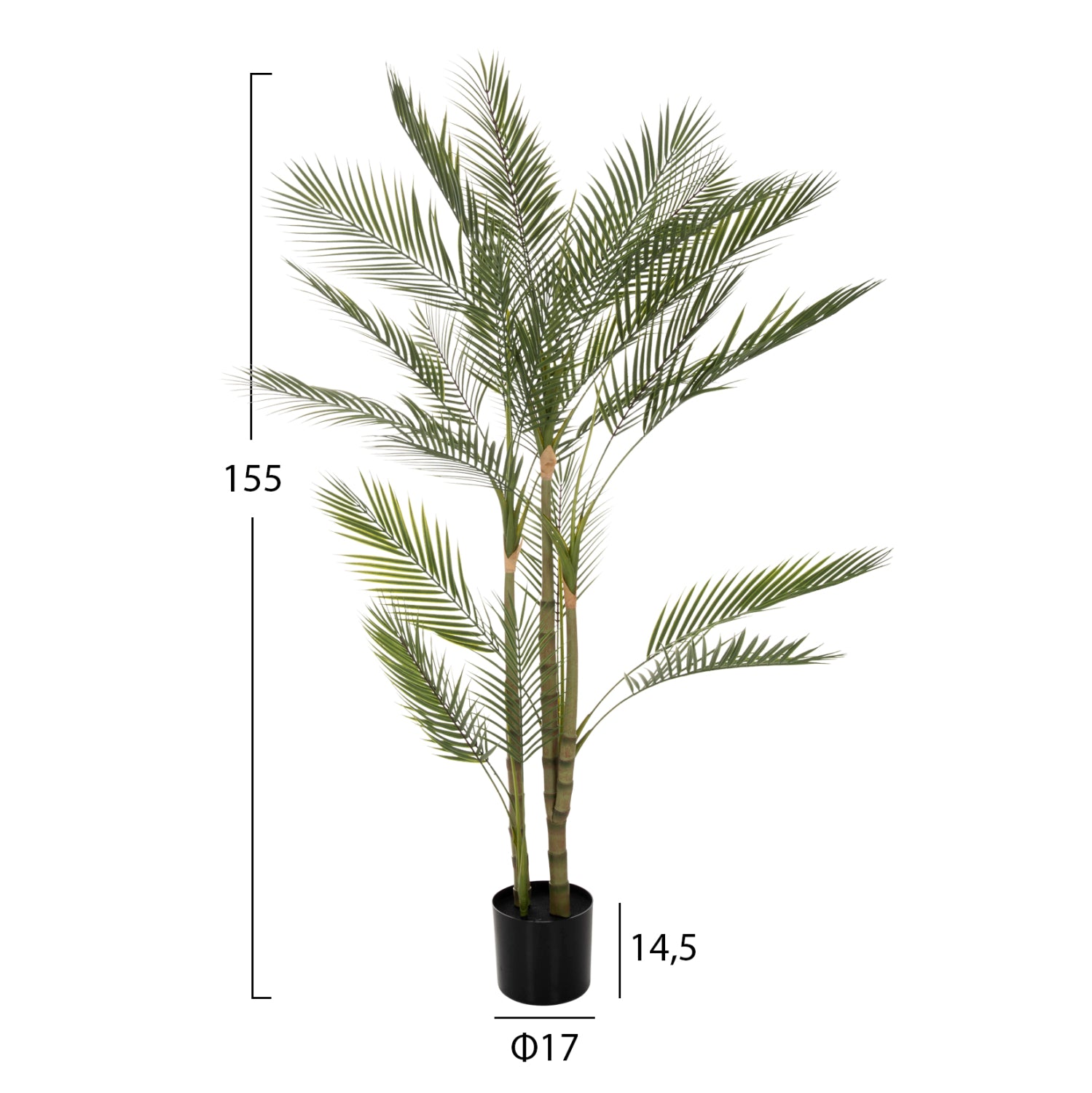 DECORATIVE SYNTHETIC PLANT IN POT HM7970 KWAI TREE Φ17x14,5-155Hcm.