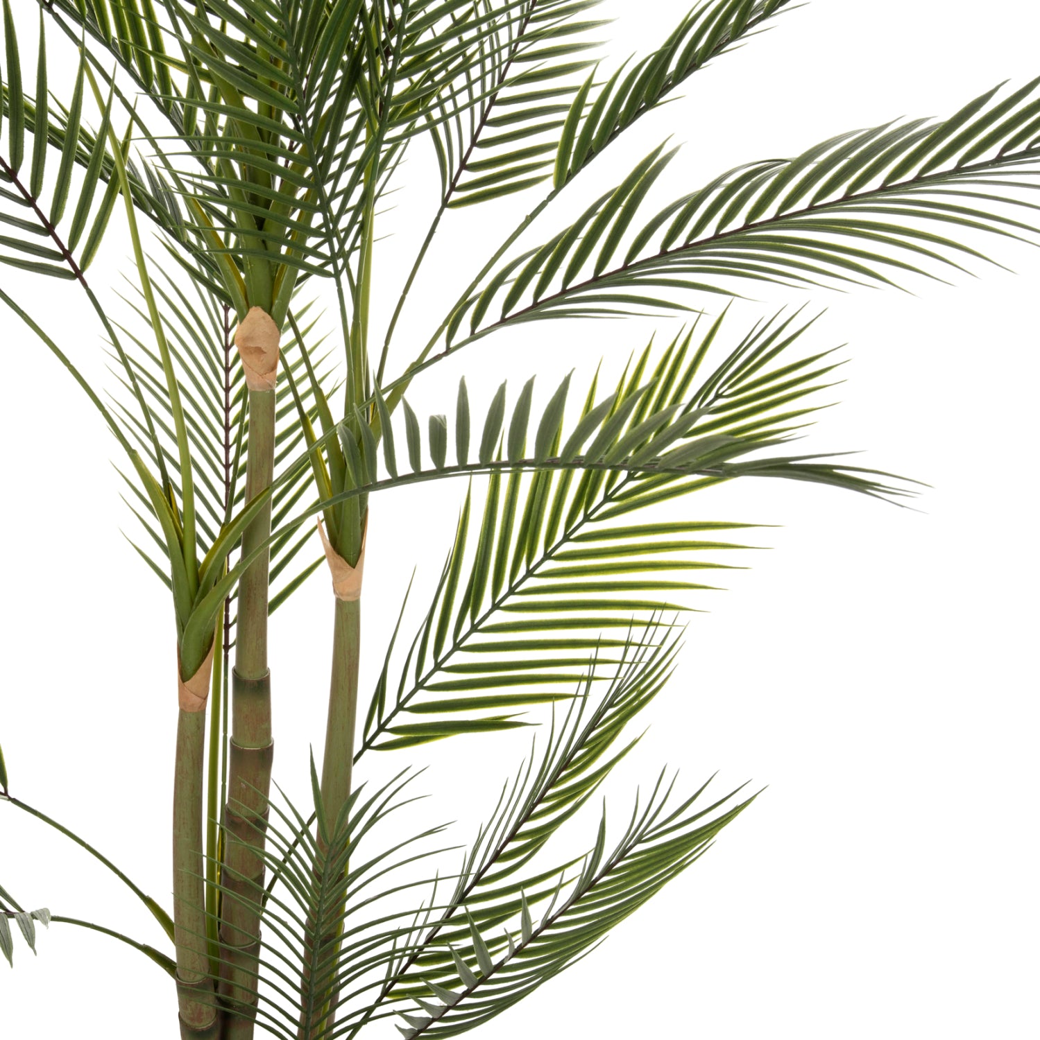 DECORATIVE SYNTHETIC PLANT IN POT HM7970 KWAI TREE Φ17x14,5-155Hcm.