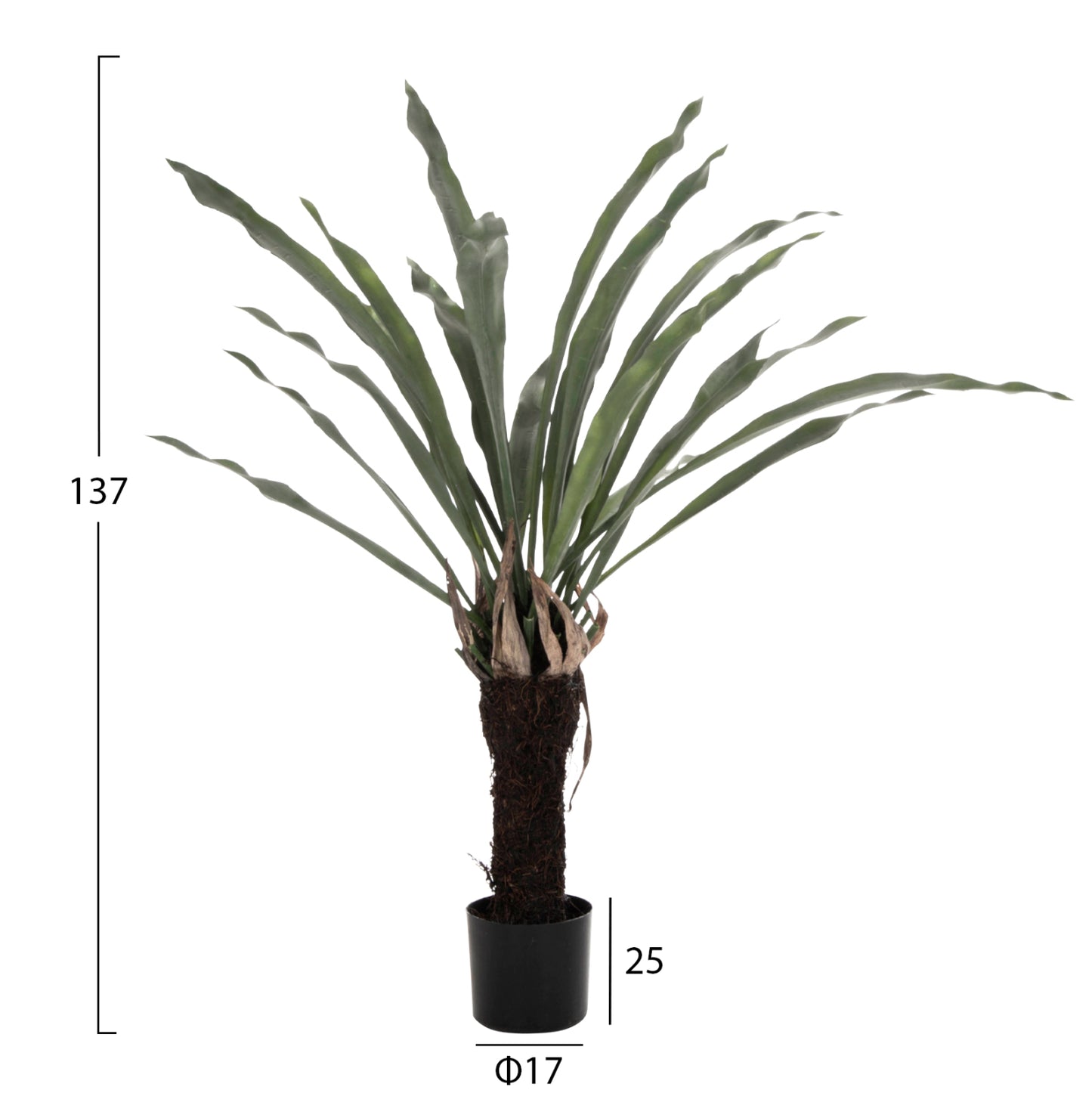 DECORATIVE SYNTHETIC PLANT HM7975 ASPLENIUM PROLONGATUM (FERN) IN POT 137Hcm.