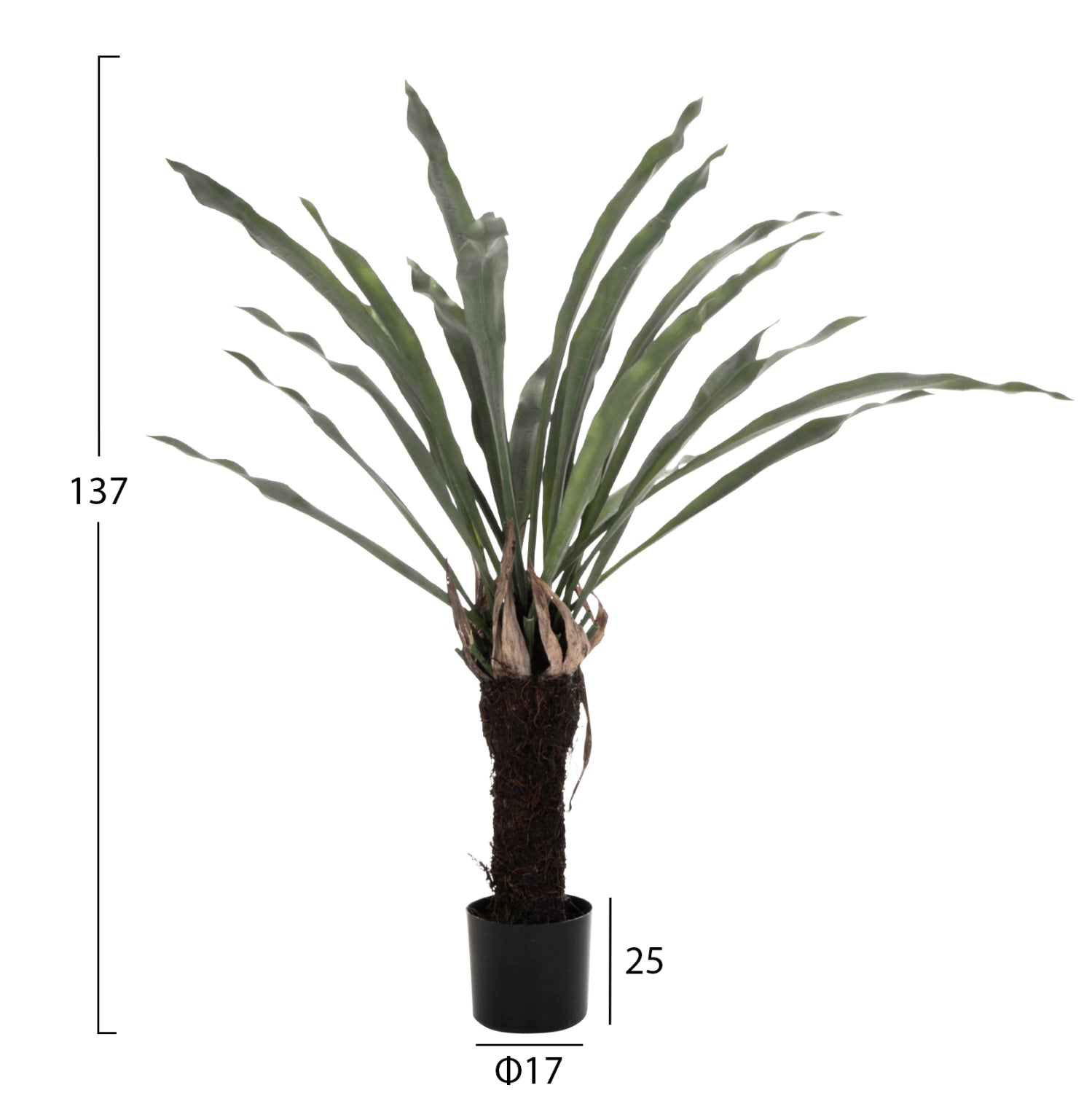 DECORATIVE SYNTHETIC PLANT HM7975 ASPLENIUM PROLONGATUM (FERN) IN POT 137Hcm.