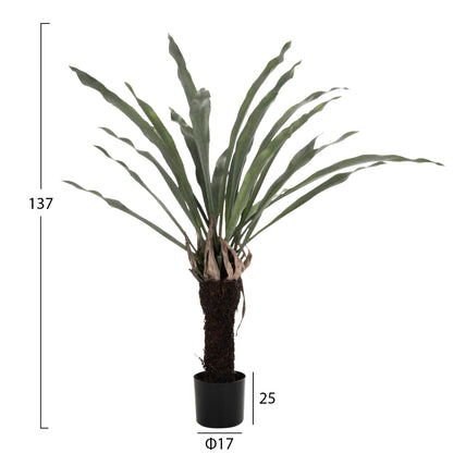 DECORATIVE SYNTHETIC PLANT HM7975 ASPLENIUM PROLONGATUM (FERN) IN POT 137Hcm.