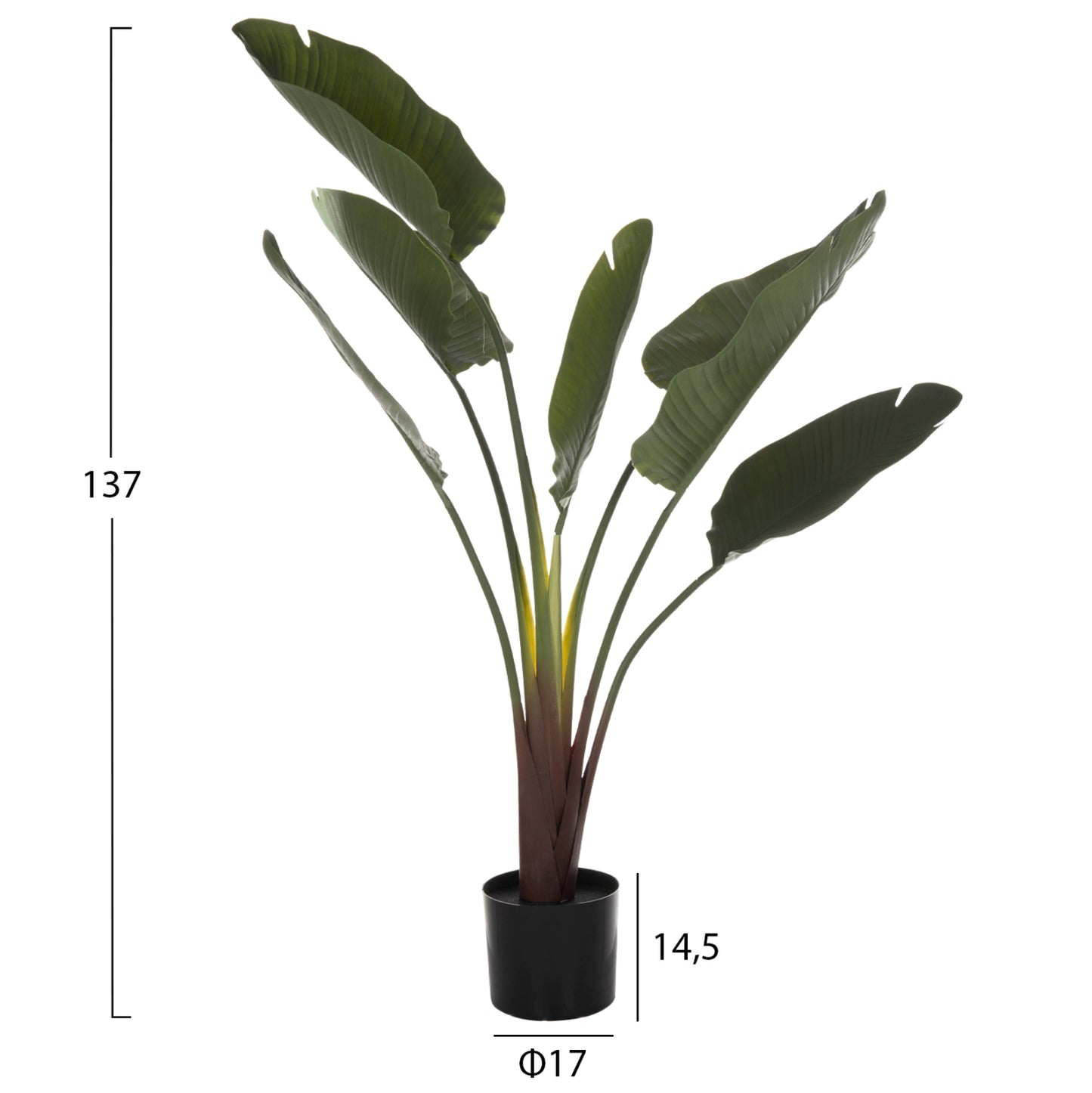 DECORATIVE SYNTHETIC PLANT IN POT HM7981 STRELITZIACEAE Φ17x14,5-137Hcm.