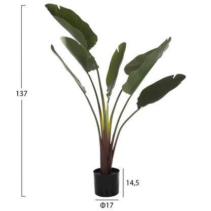 DECORATIVE SYNTHETIC PLANT IN POT HM7981 STRELITZIACEAE Φ17x14,5-137Hcm.