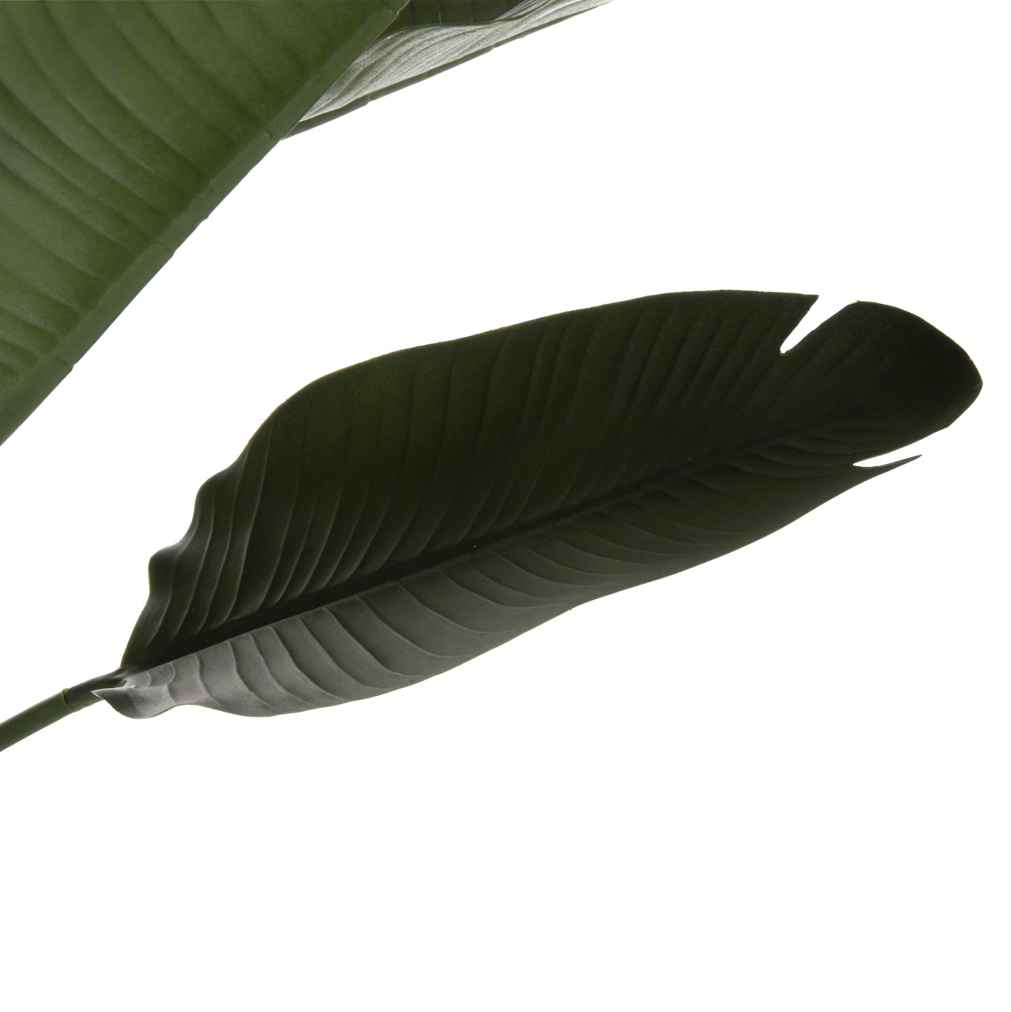 DECORATIVE SYNTHETIC PLANT IN POT HM7981 STRELITZIACEAE Φ17x14,5-137Hcm.