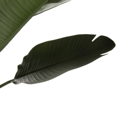 DECORATIVE SYNTHETIC PLANT IN POT HM7981 STRELITZIACEAE Φ17x14,5-137Hcm.
