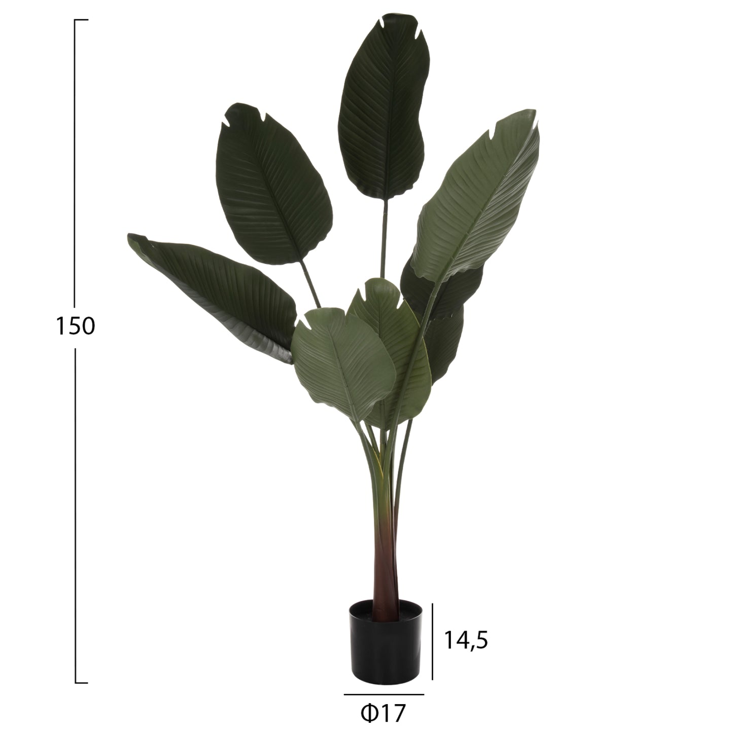 DECORATIVE SYNTHETIC PLANT IN POT HM7982 STRELITZIACEAE Φ17x14,5-150Hcm.