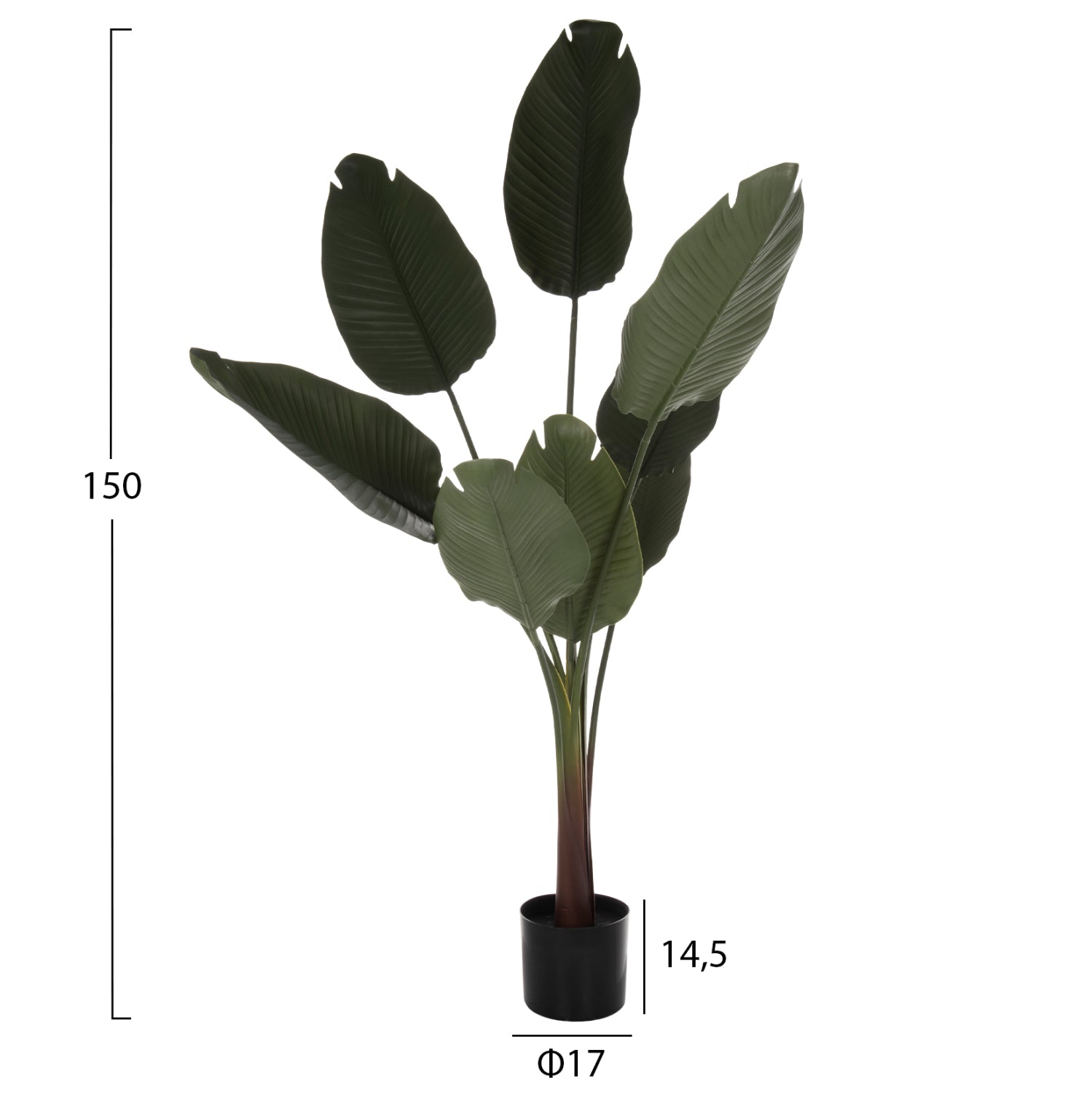 DECORATIVE SYNTHETIC PLANT IN POT HM7982 STRELITZIACEAE Φ17x14,5-150Hcm.