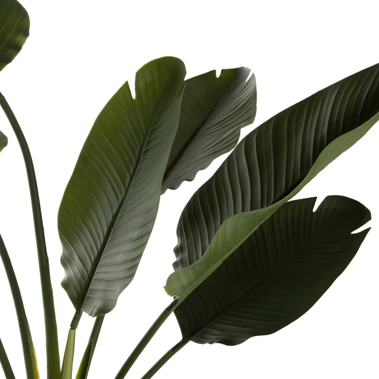 DECORATIVE SYNTHETIC PLANT IN POT HM7982 STRELITZIACEAE Φ17x14,5-150Hcm.