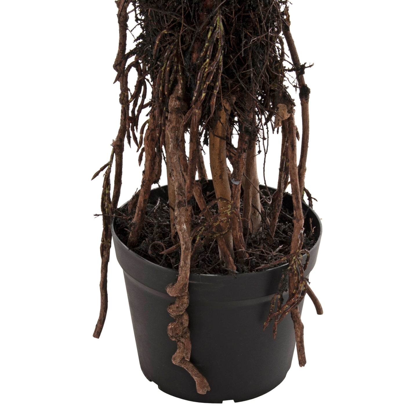 DECORATIVE SYNTHETIC PLANT IN POT HM7988 SISAL TREE Φ23x18-180Hcm.