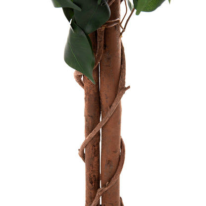 DECORATIVE SYNTHETIC PLANT HM7992 BANYAN TREE IN POT 136H cm.