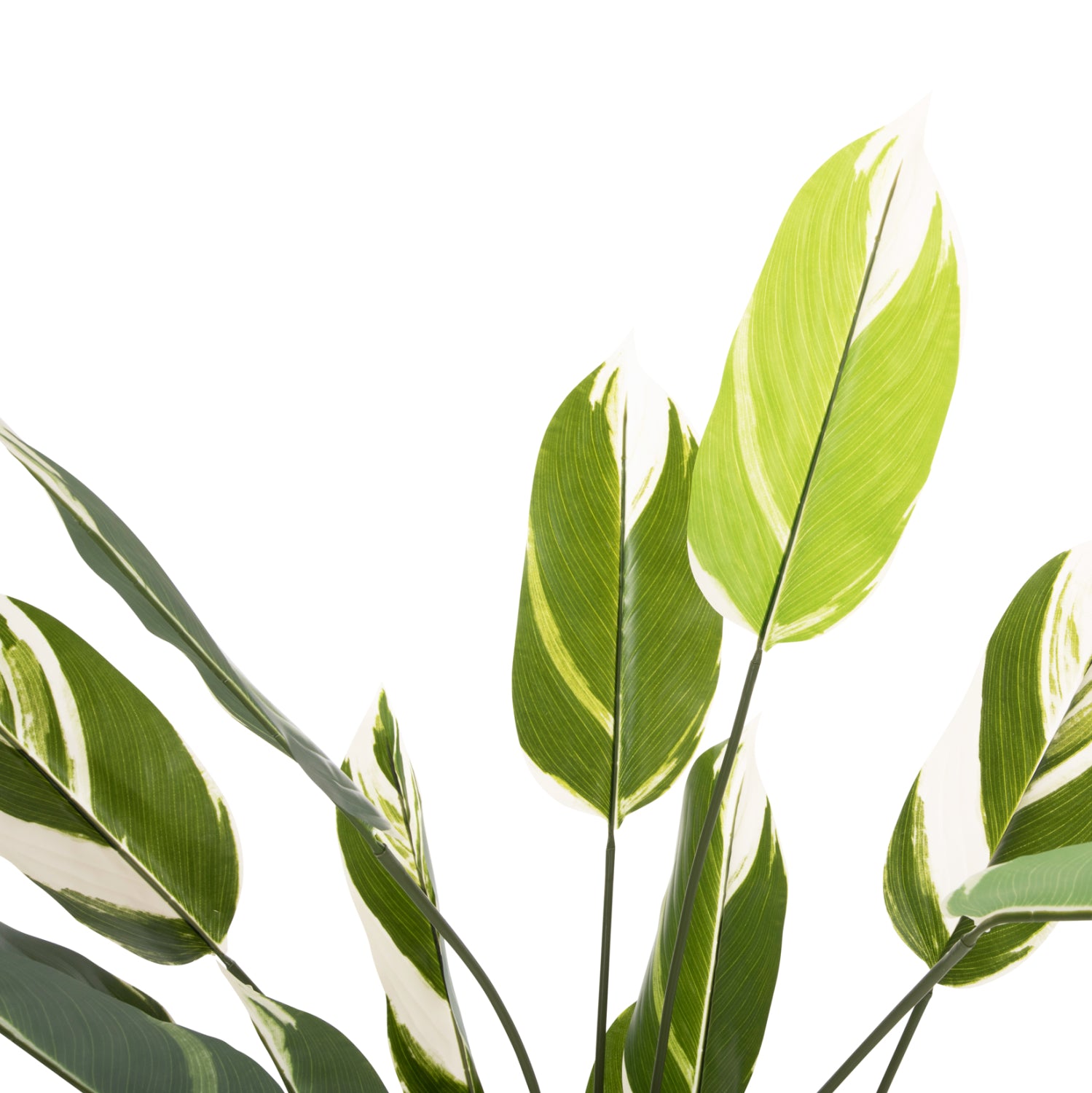DECORATIVE SYNTHETIC PLANT IN POT HM7997 CALATHEA 140Hcm.