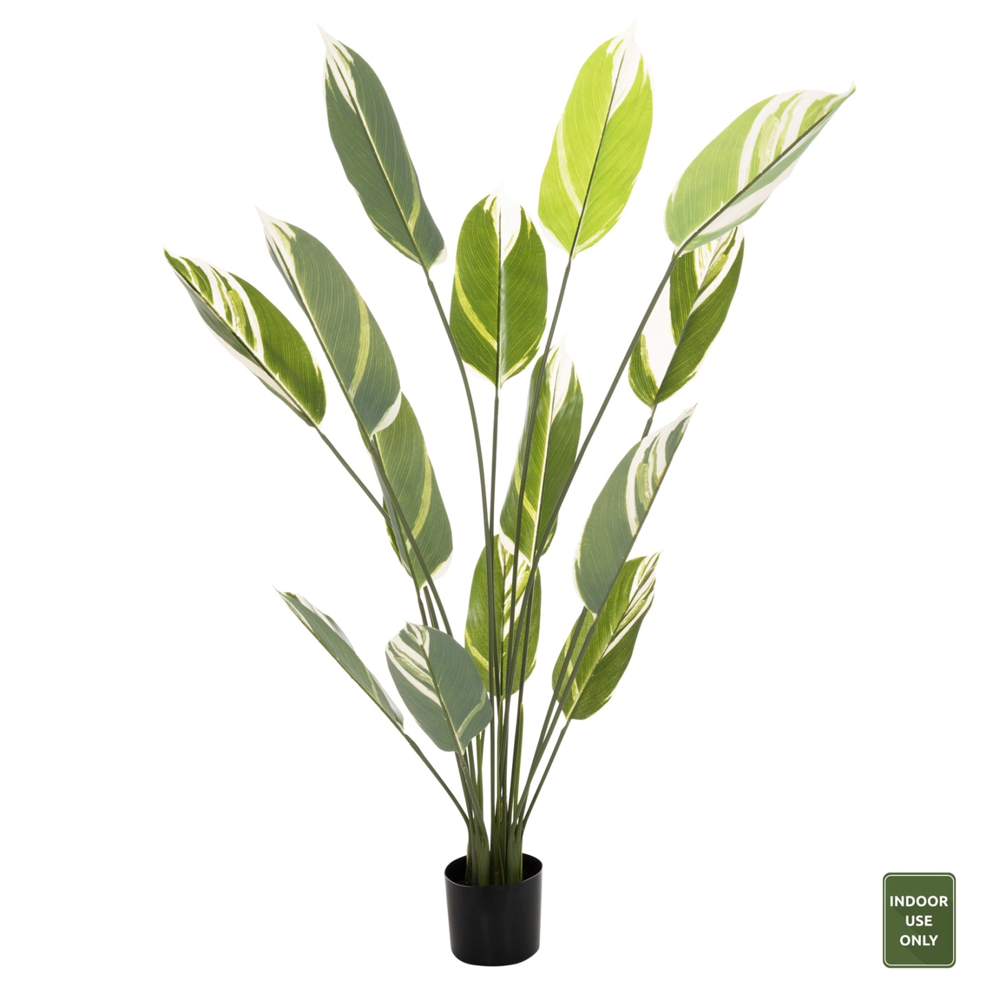 DECORATIVE SYNTHETIC PLANT IN POT HM7997 CALATHEA 140Hcm.