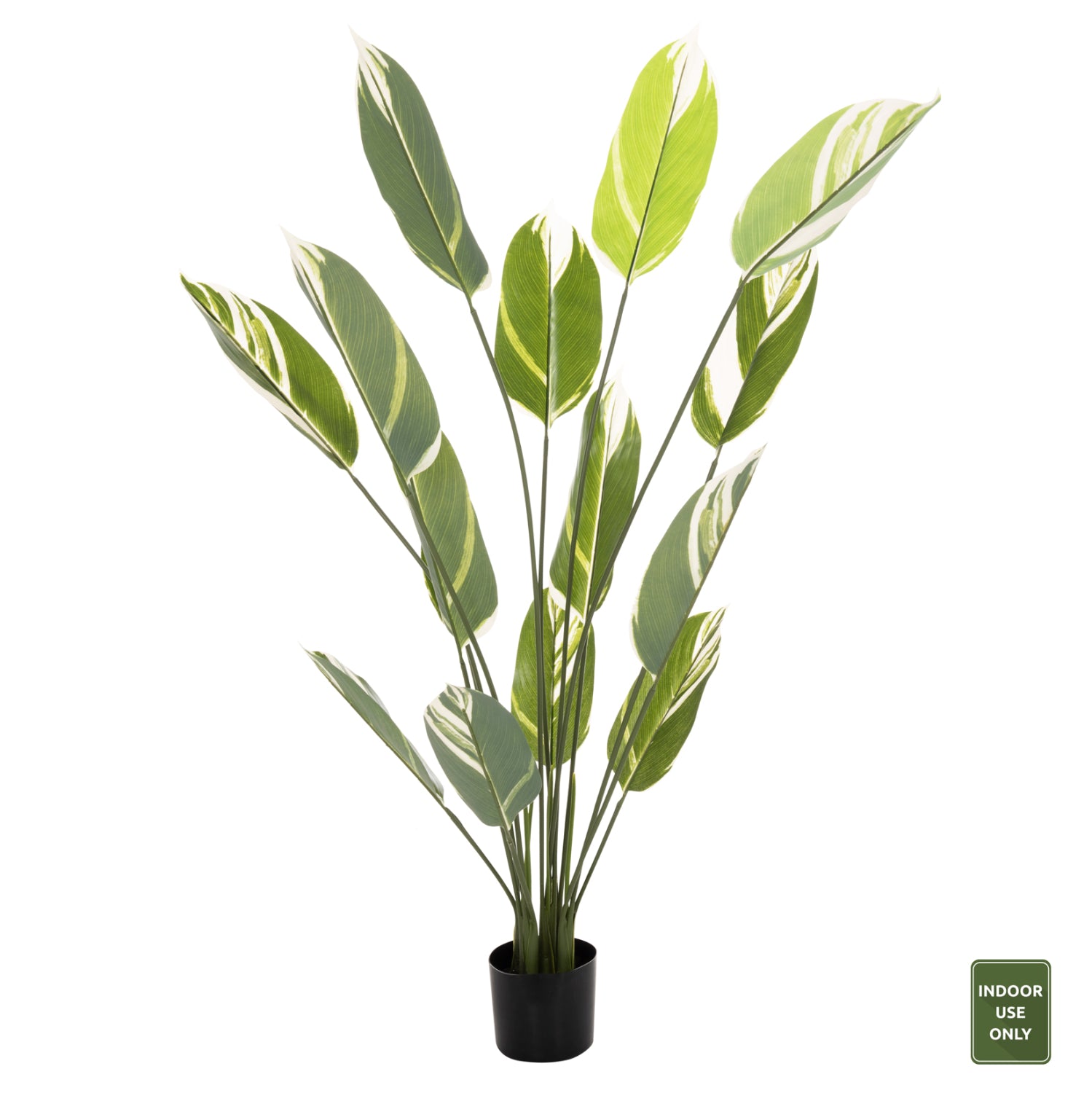 DECORATIVE SYNTHETIC PLANT IN POT HM7997 CALATHEA 140Hcm.