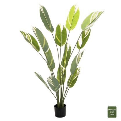 DECORATIVE SYNTHETIC PLANT IN POT HM7997 CALATHEA 140Hcm.
